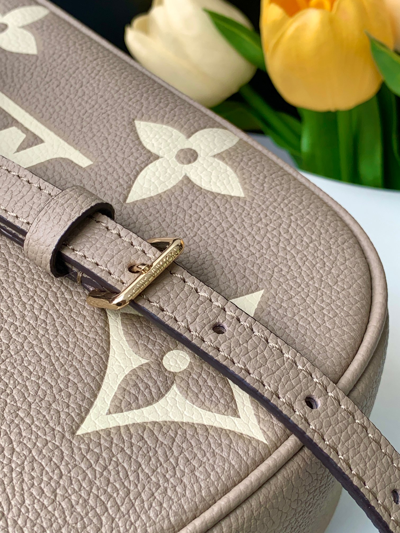 Louis Vuitton LV Bagatelle croissant bag