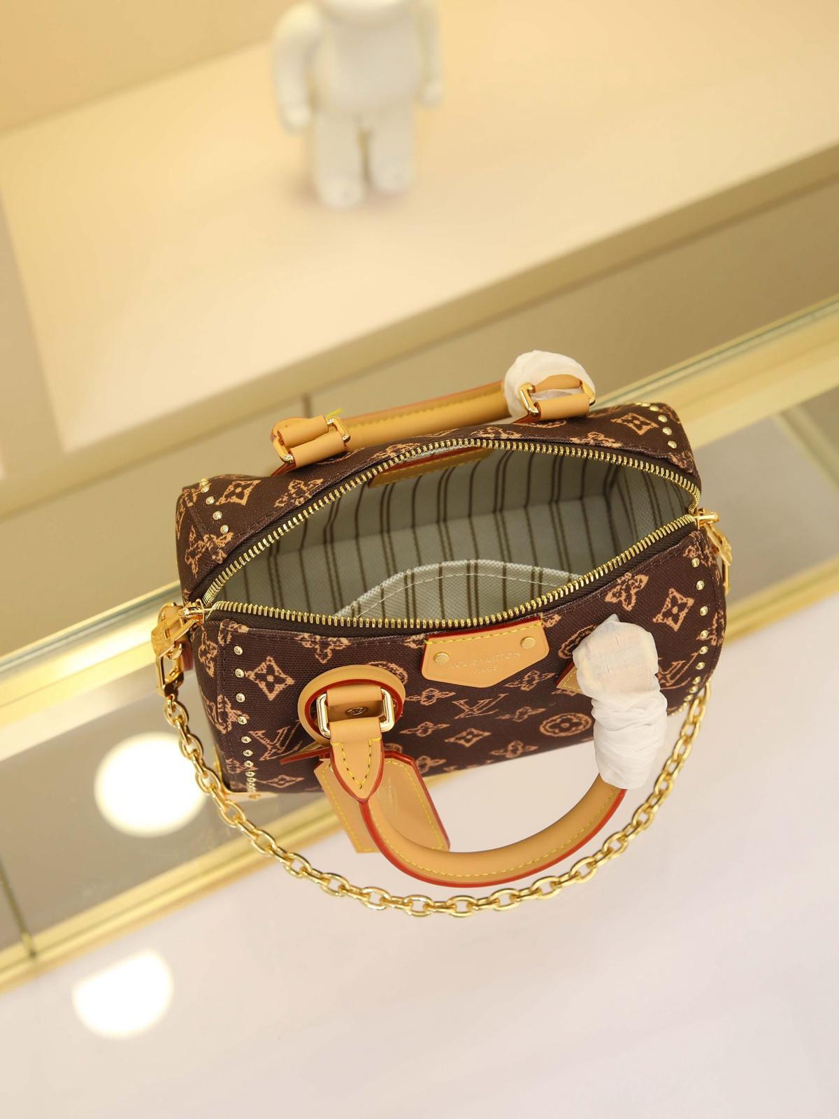 Louis Vuitton LV speedy 20 handbag