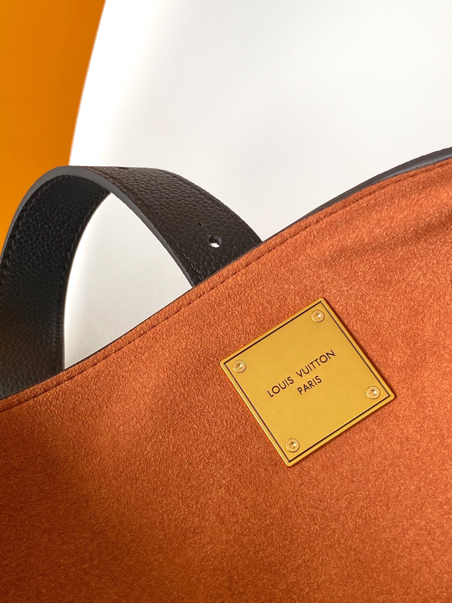 Louis Vuitton medium calfskin bag