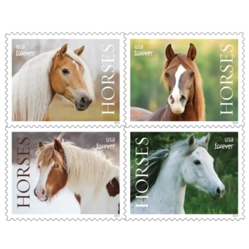Horses - PostMarks