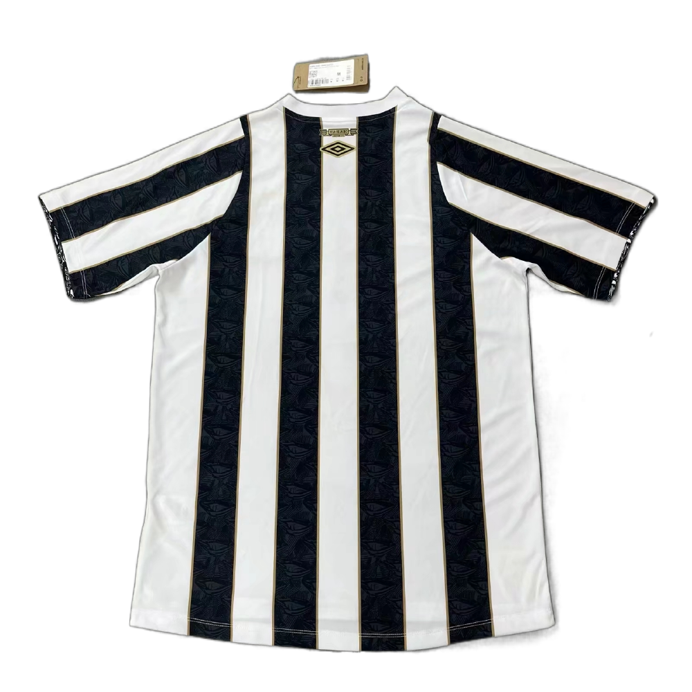 Masculino  Santos 25/26 Away