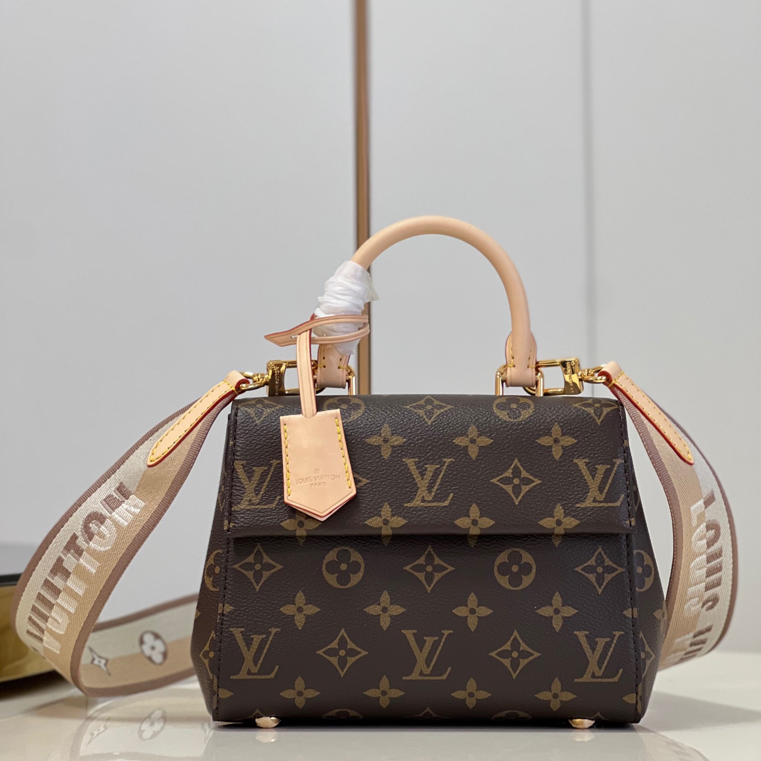 Louis Vuitton LV Cluny BB M46055