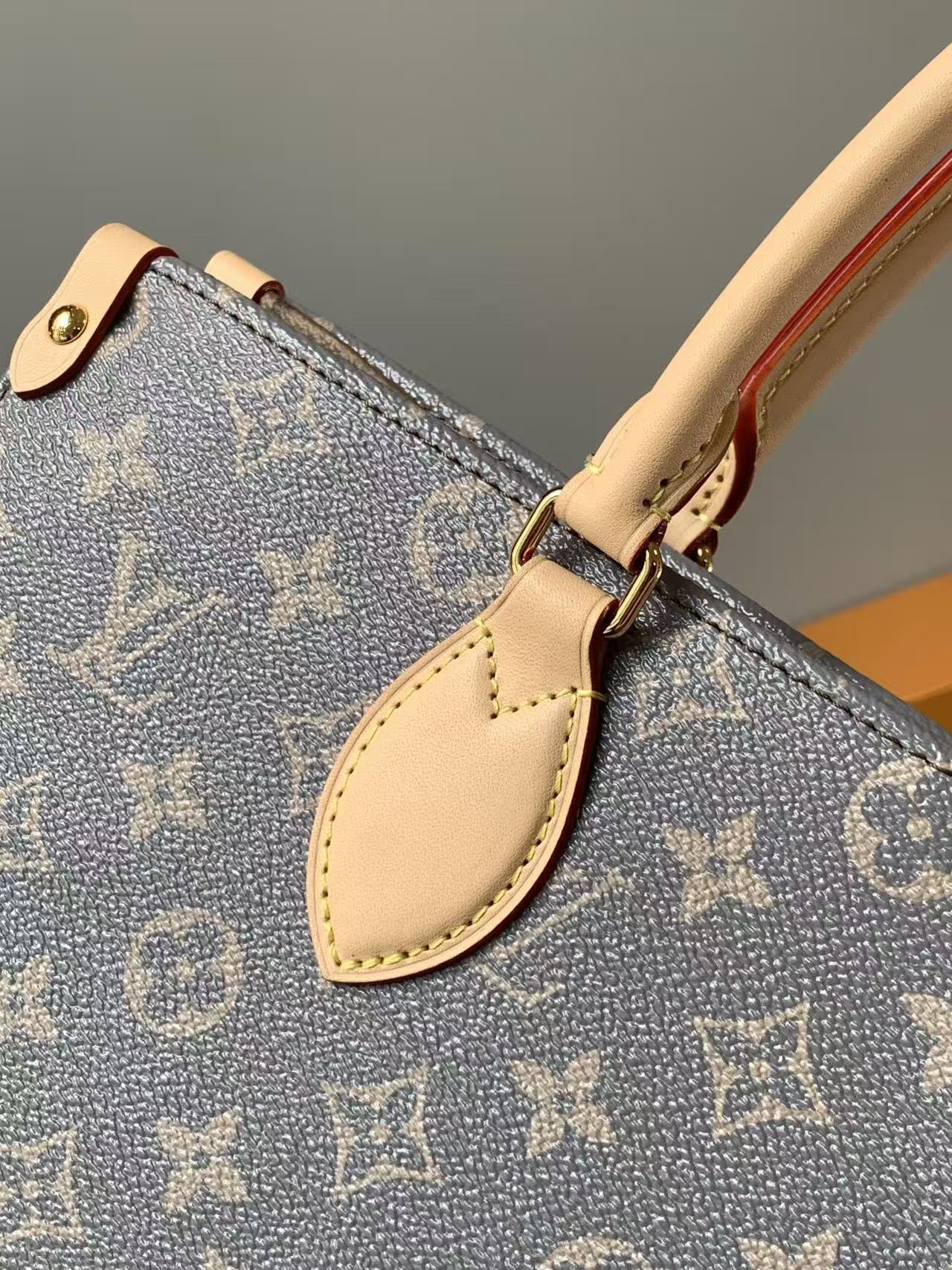 Louis Vuitton LV OnTheGo MM handbag