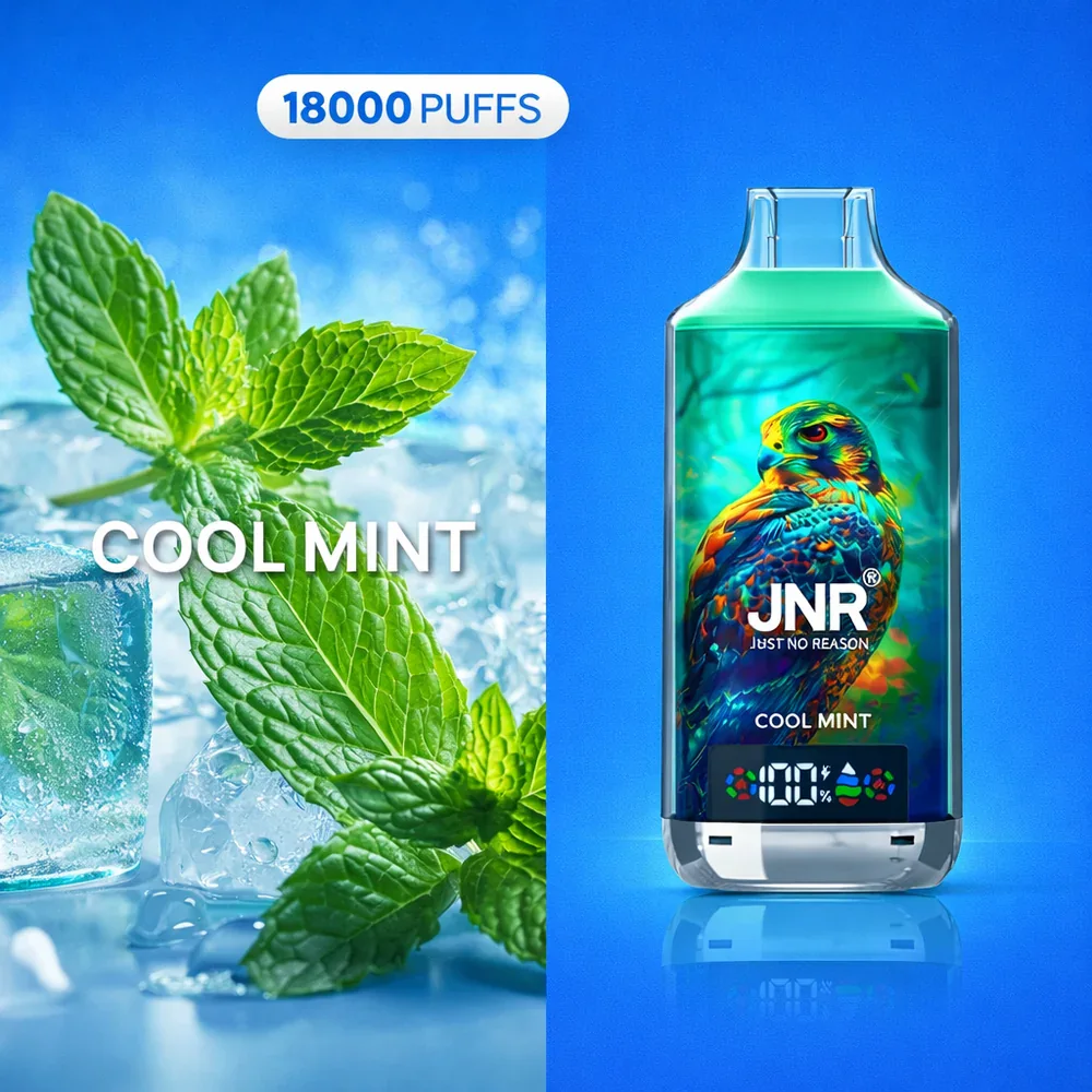 JNR Falcon X 18K Disposable Vape – Cool Mint - Vaba Vaba