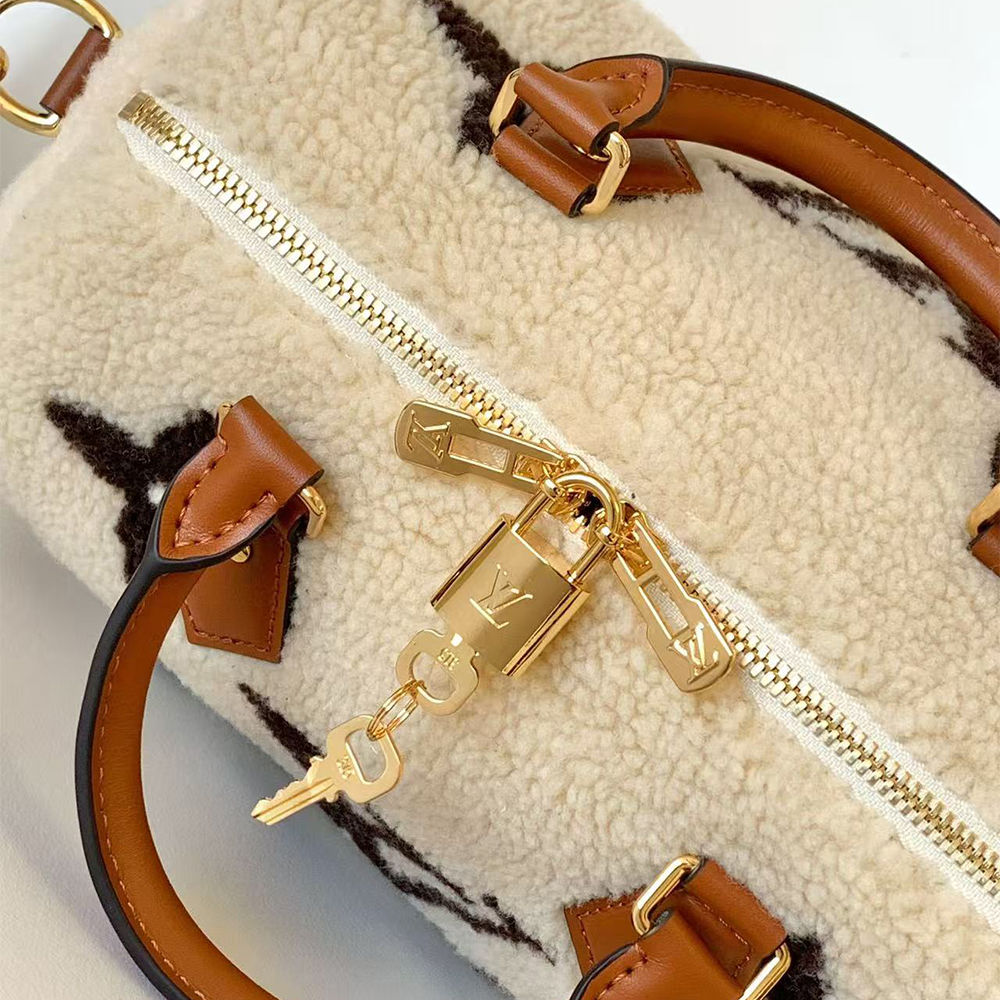 Louis Vuitton LV Speedy Bandoulière 25 bags