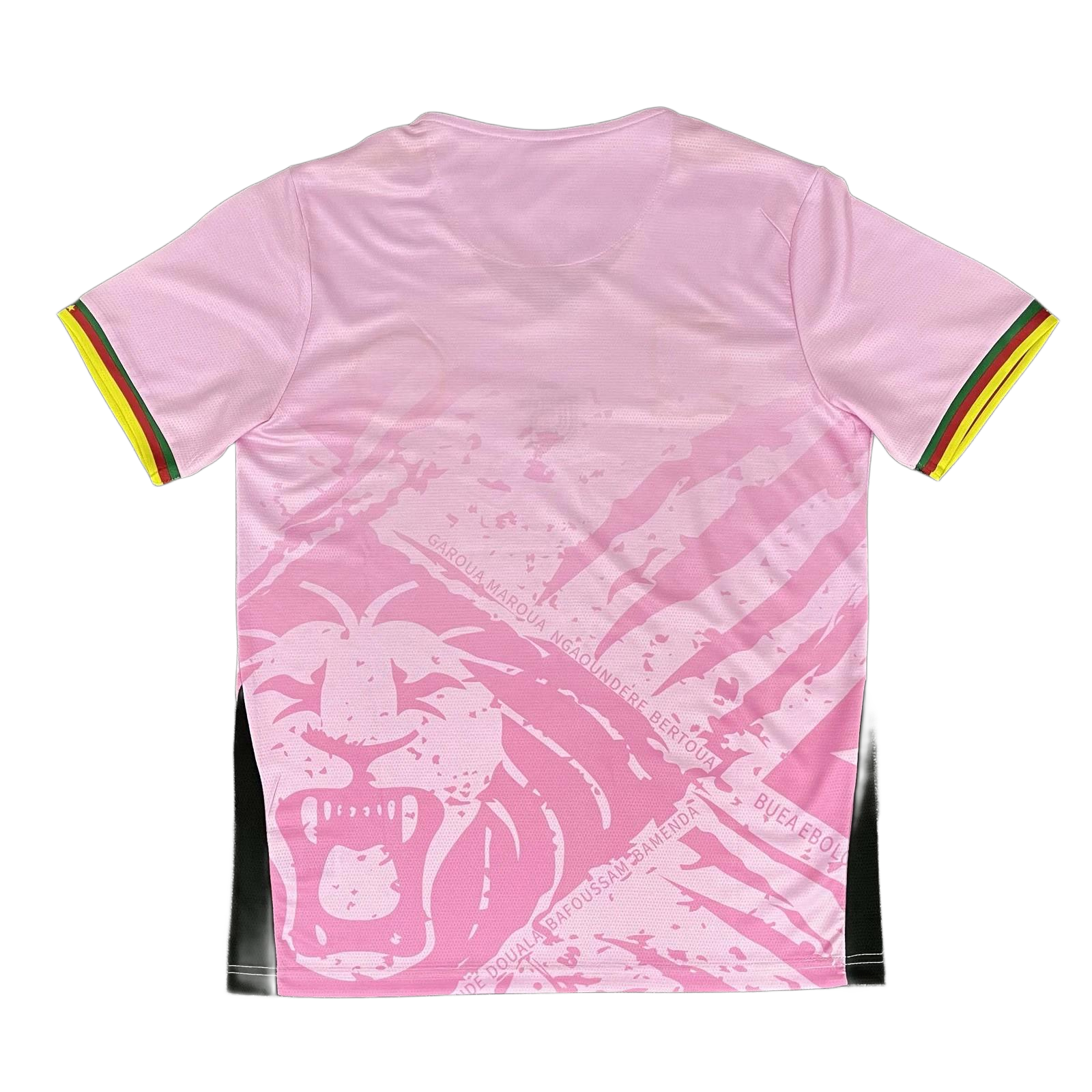 Cameroon 25/26 Pink  S-XXL