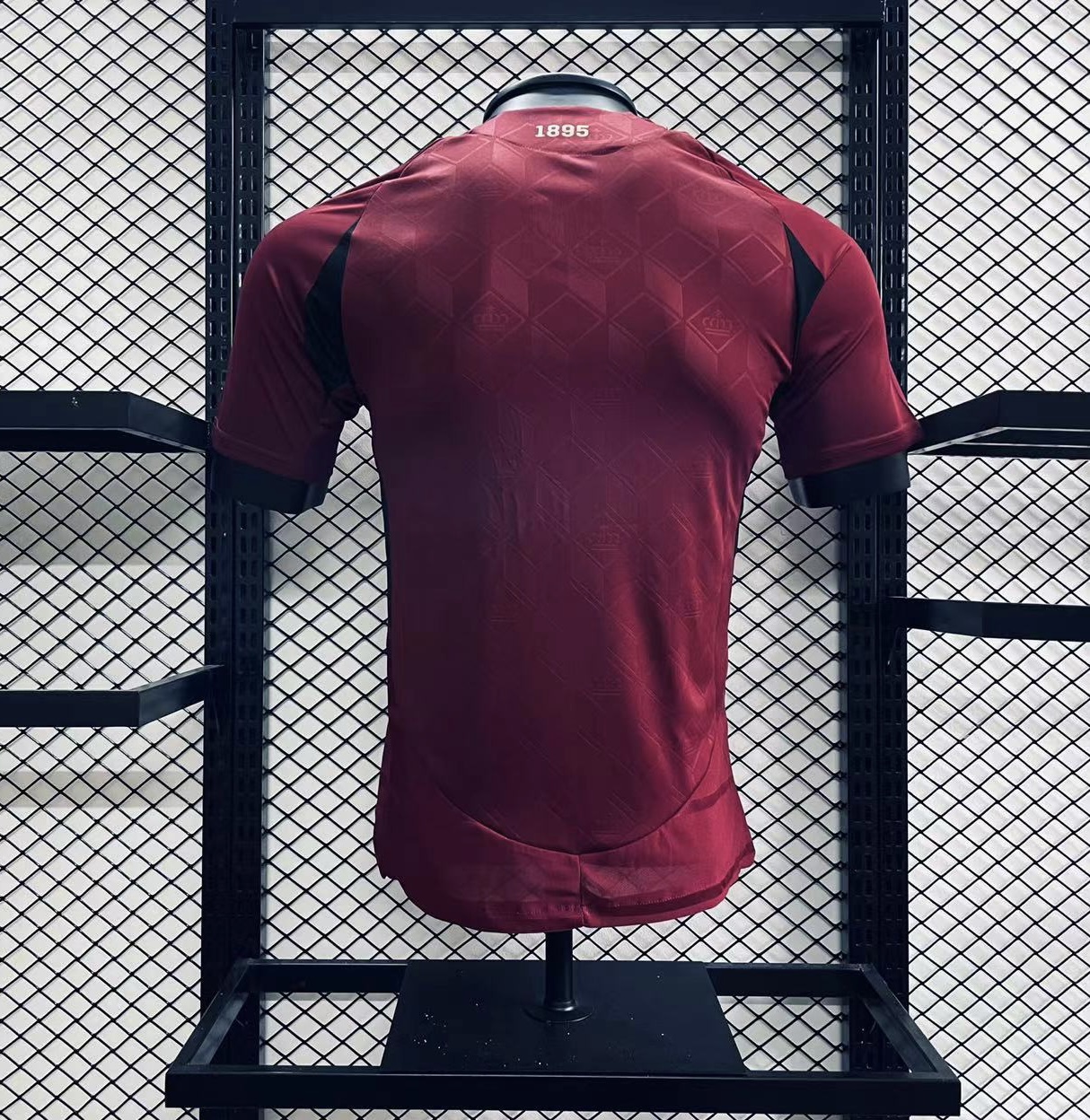 Player Version  Belgium 24/25 Home