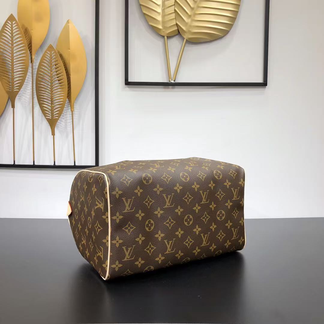 Louis Vuitton LV Speedy handbag