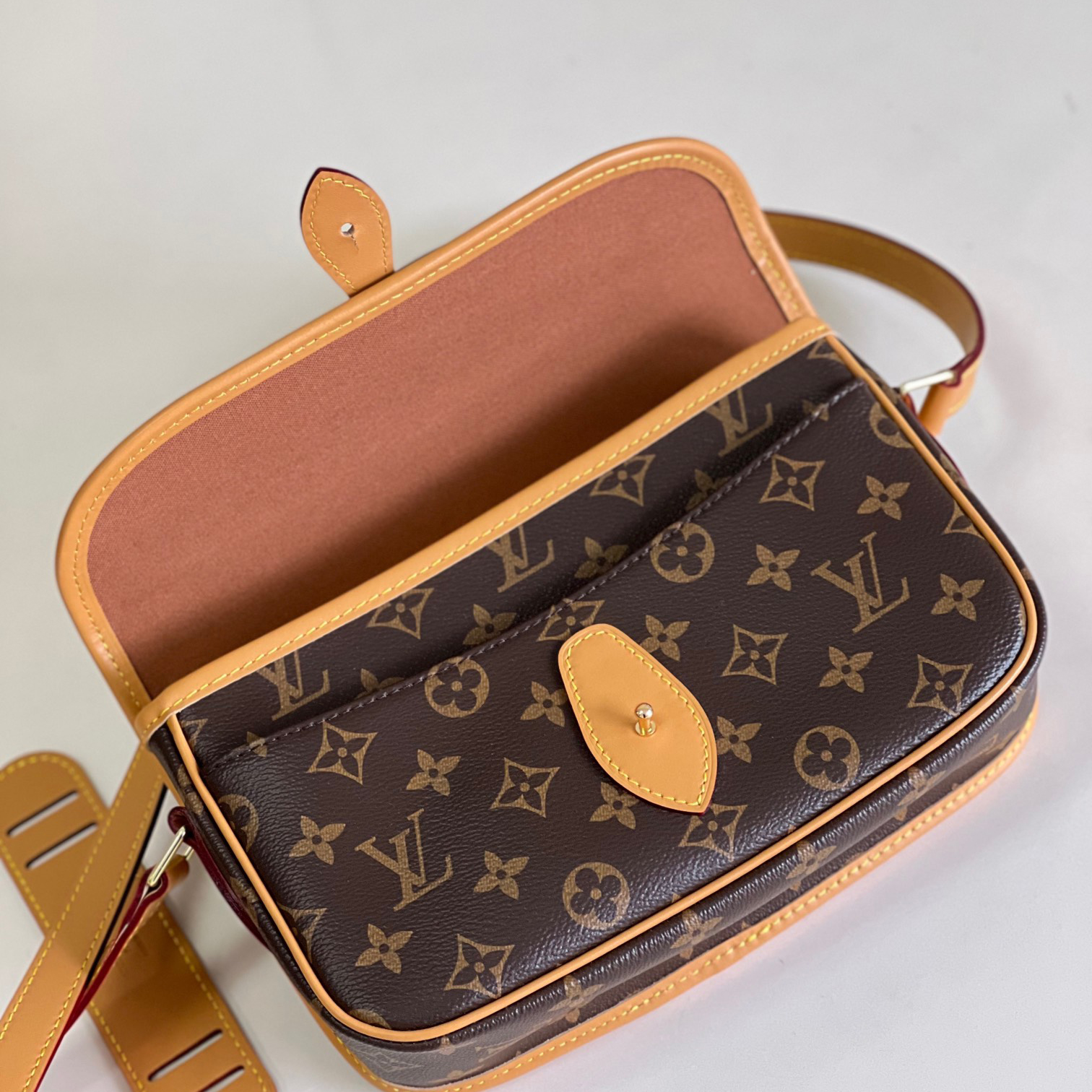 Louis Vuitton LV Gibeciere PM Shoulder Bag M42248