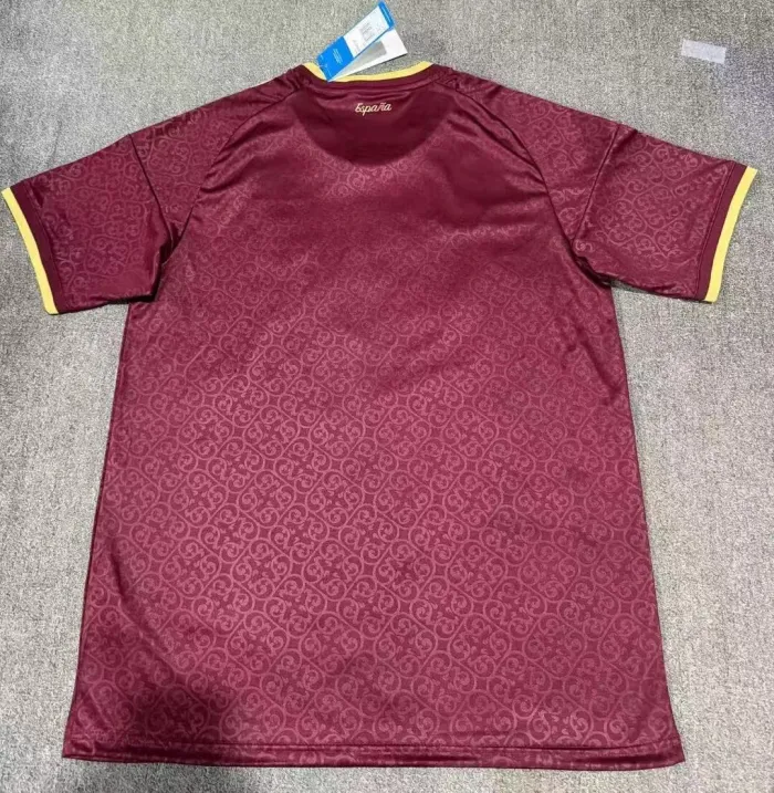 Spain Special Edition Jersey Fan Version 26/27