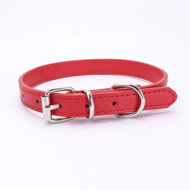 Pet Supplies Dog Collar Alloy Buckle Dog Chain Cat Necklace Size Adjustable for Small and Medium-sized Dog Collars Dog Supplies