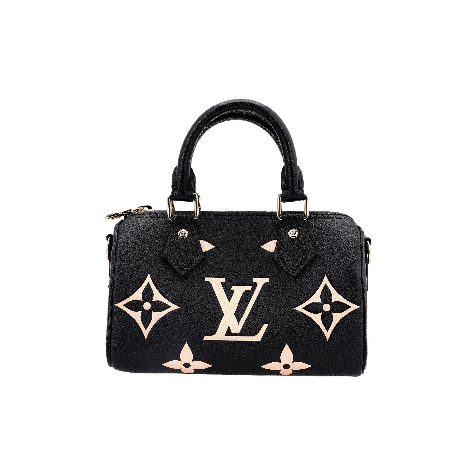 Louis Vuitton Mini Nano Speedy