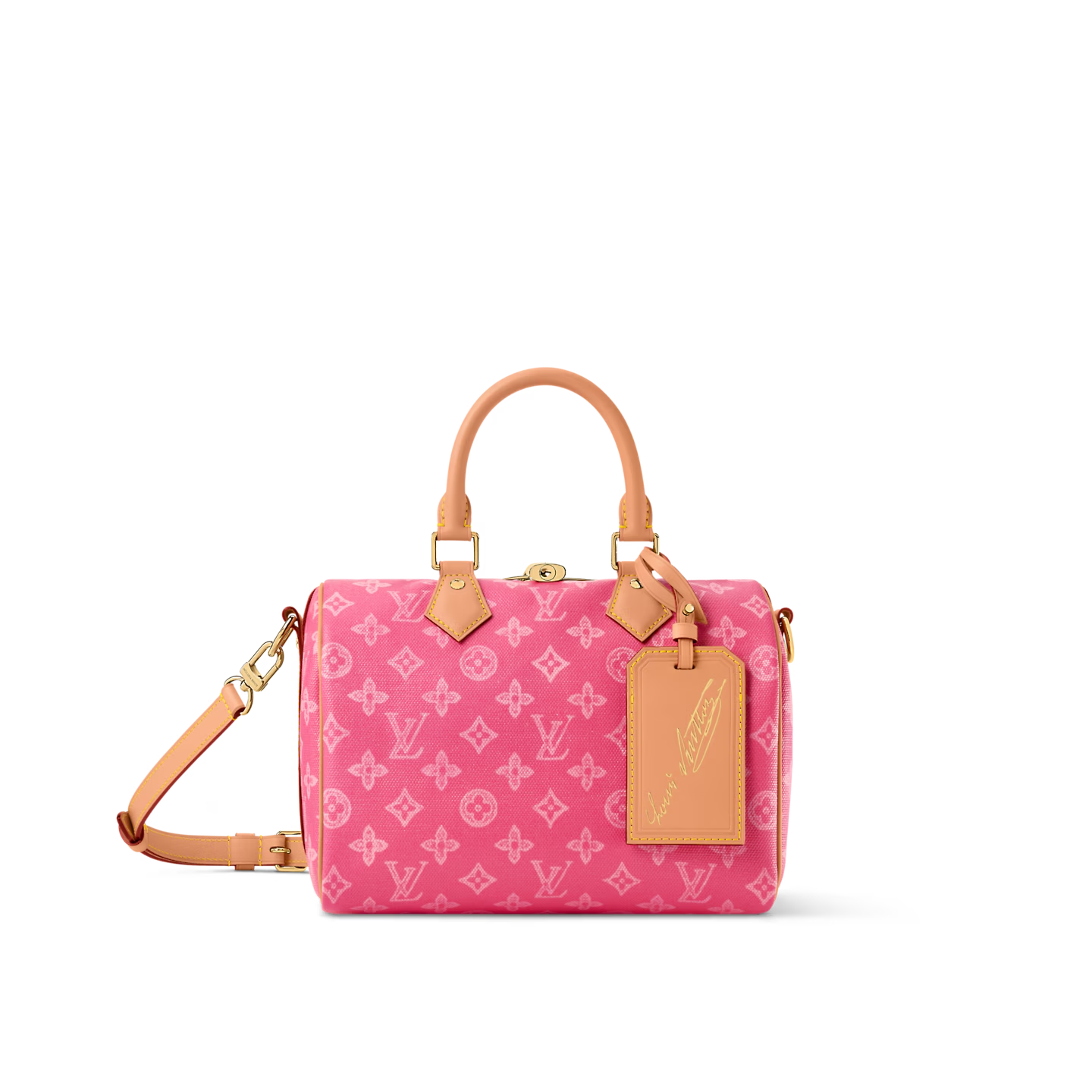 Louis Vuitton LV SPEEDY BANDOULIÈRE 25 Bags
