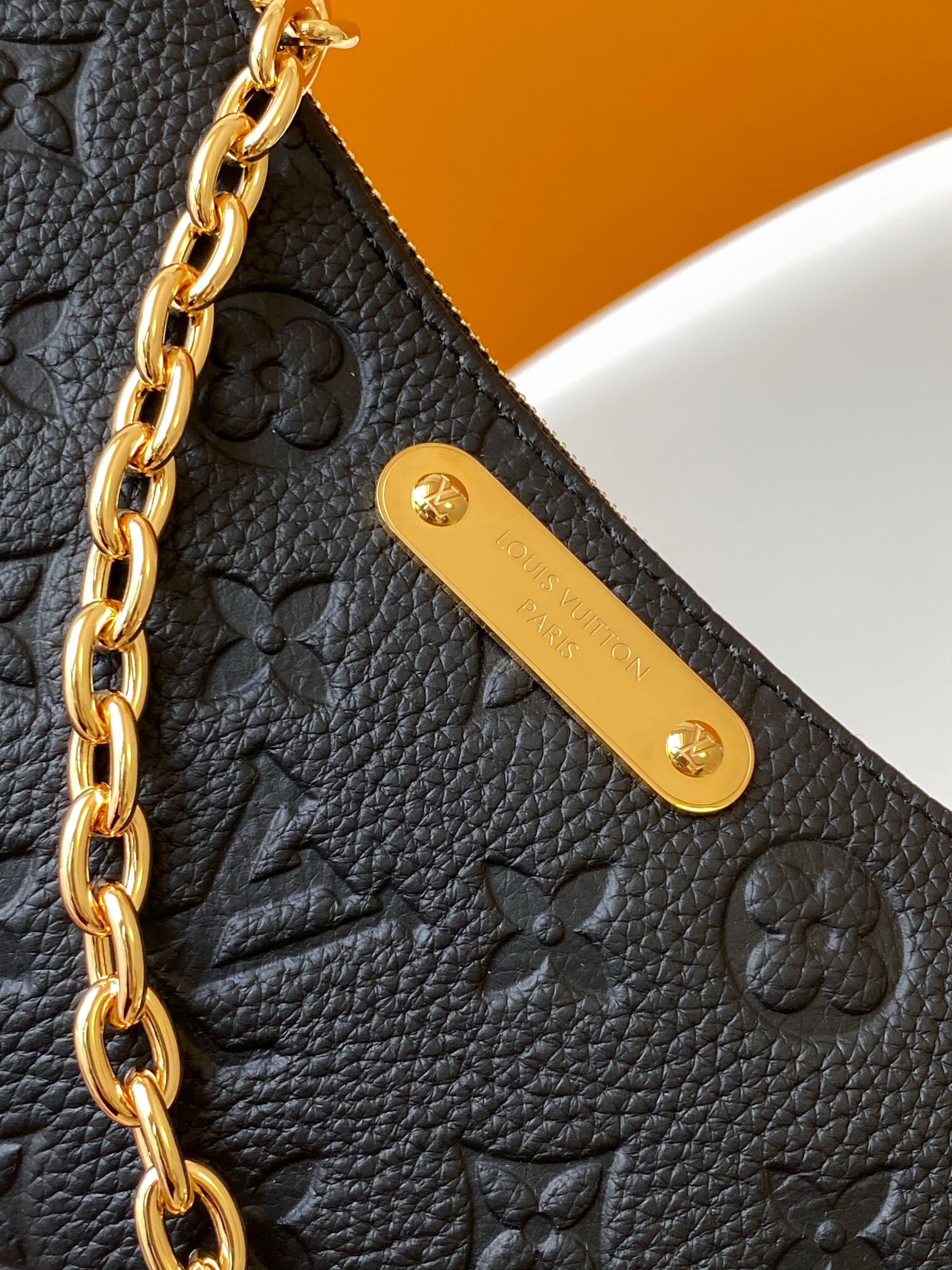 Louis Vuitton LV printed logo shoulder bag crossbody bag