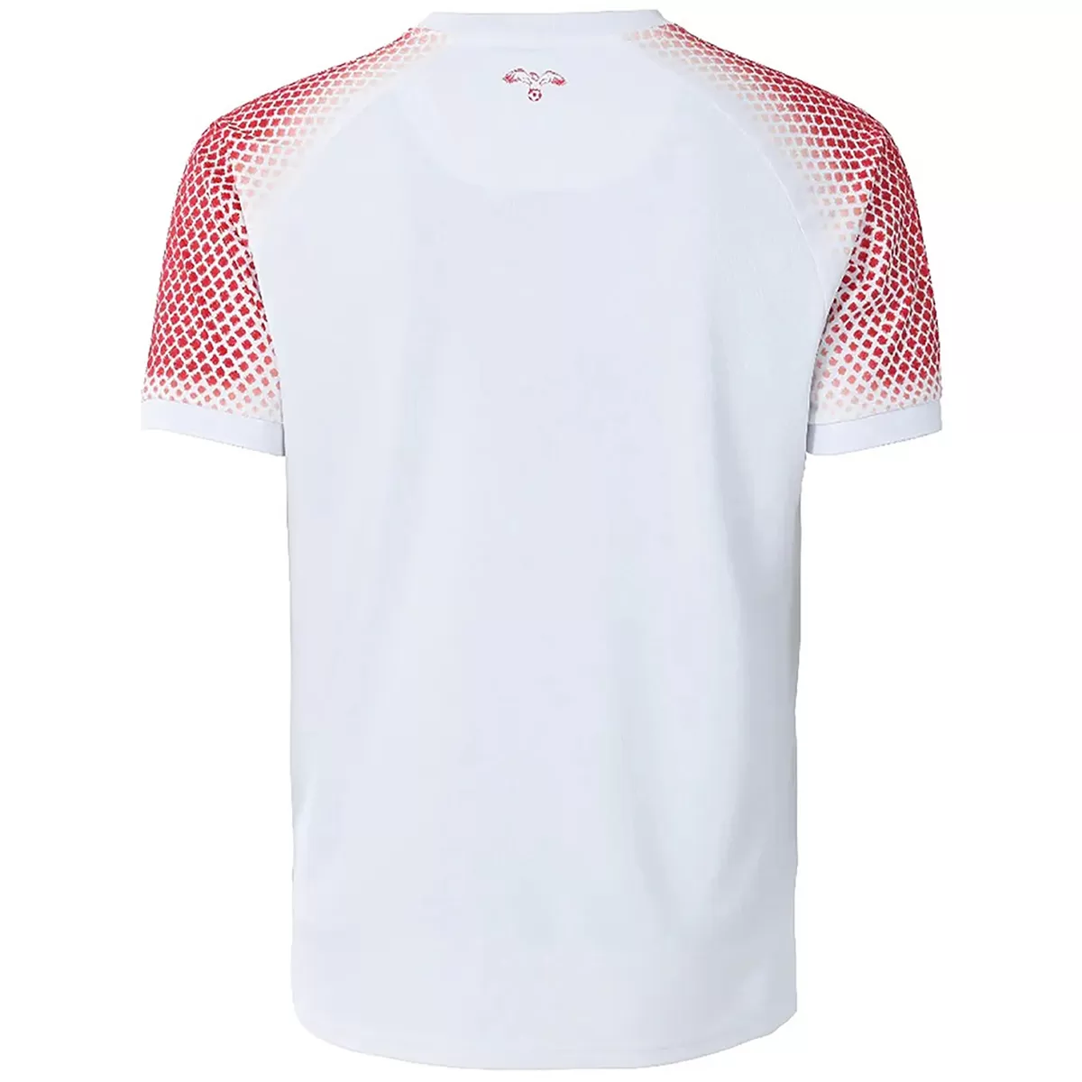 Jordan Home Jersey World Cup 2026