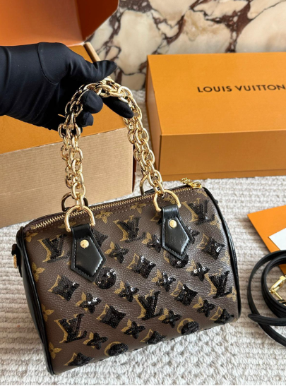 Louis Vuitton LV Sequin speedy 20