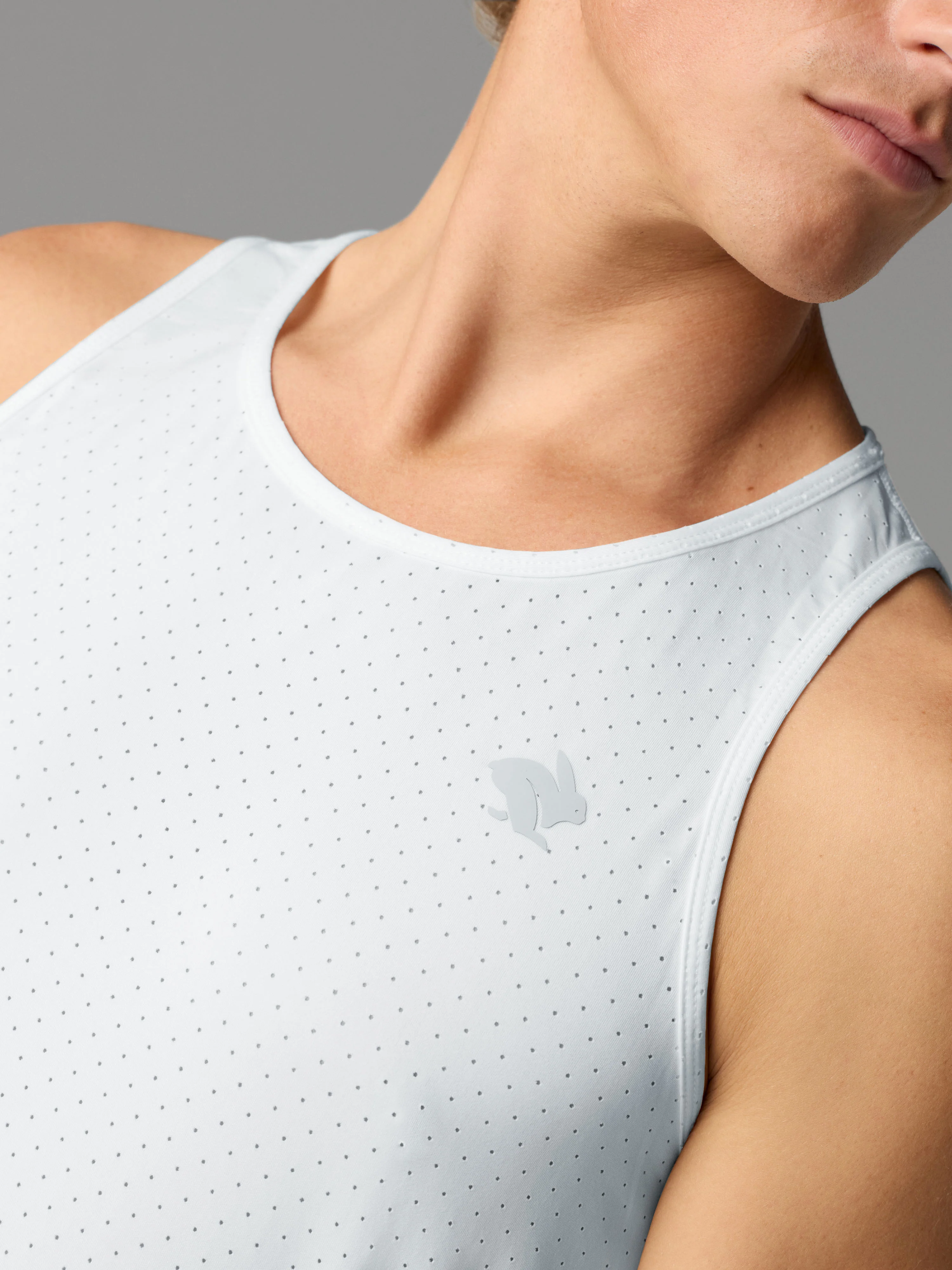 Ice Perf Tank