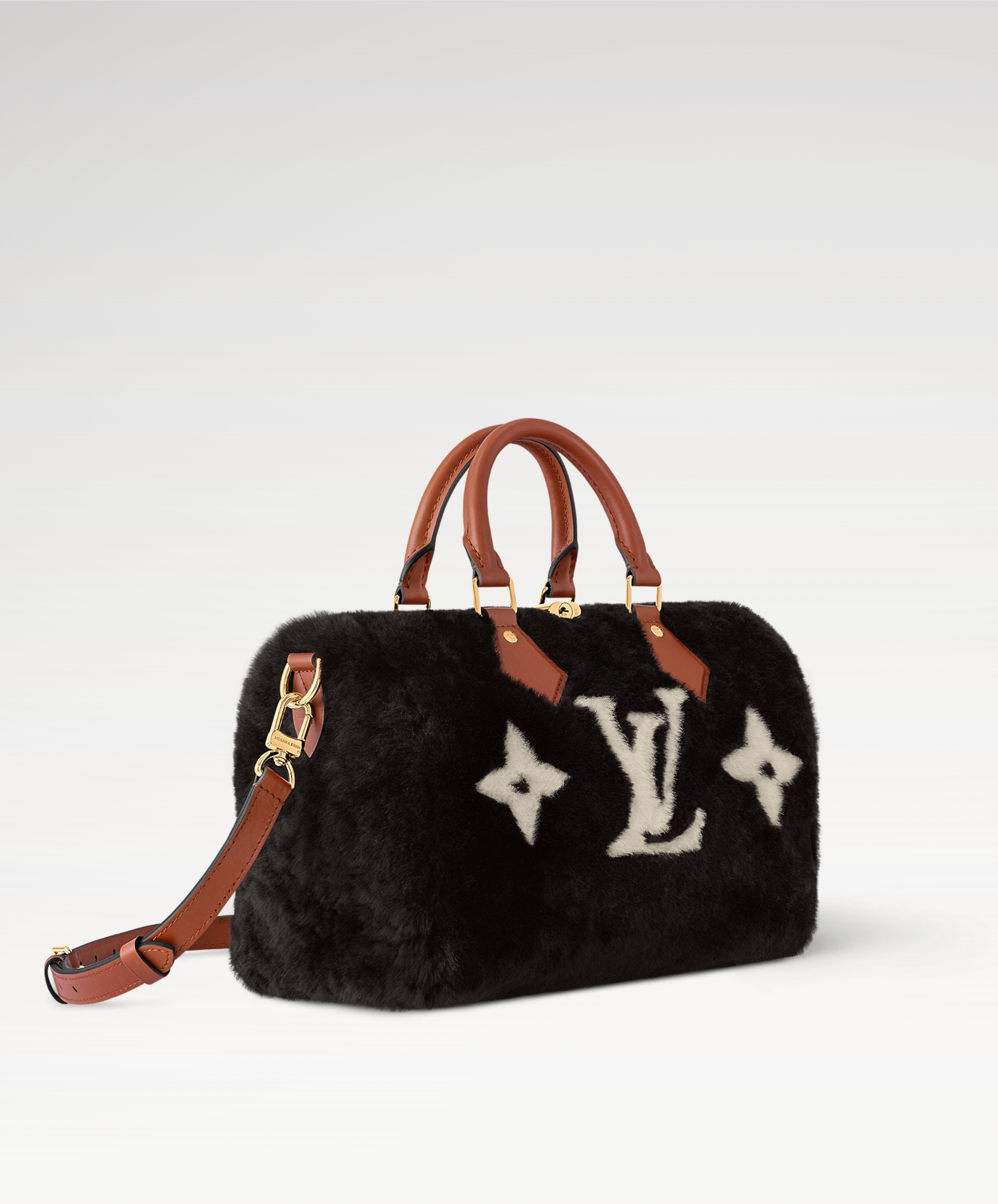 Louis Vuitton LV Speedy Bandoulière 25