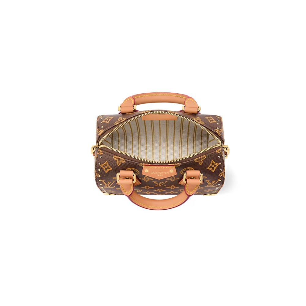 Louis Vuitton LV bags Speedy Trunk 20