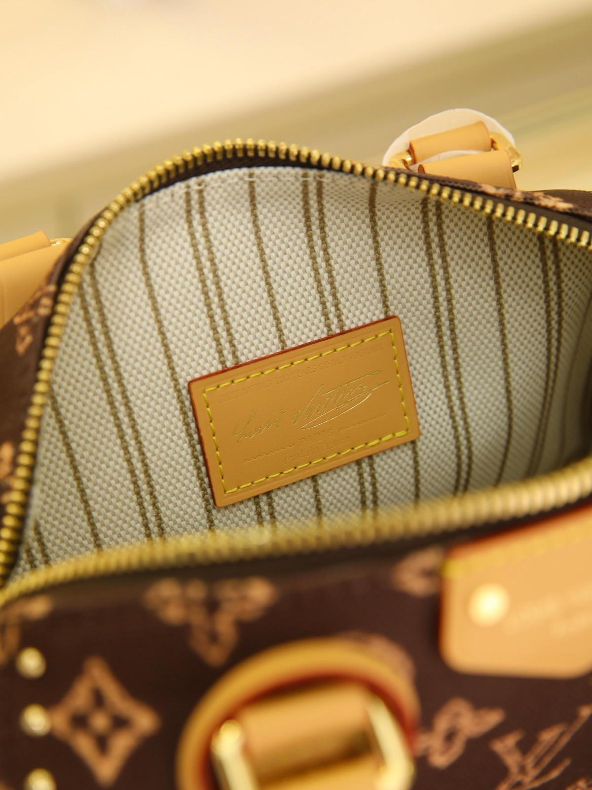 Louis Vuitton LV speedy 20 handbag