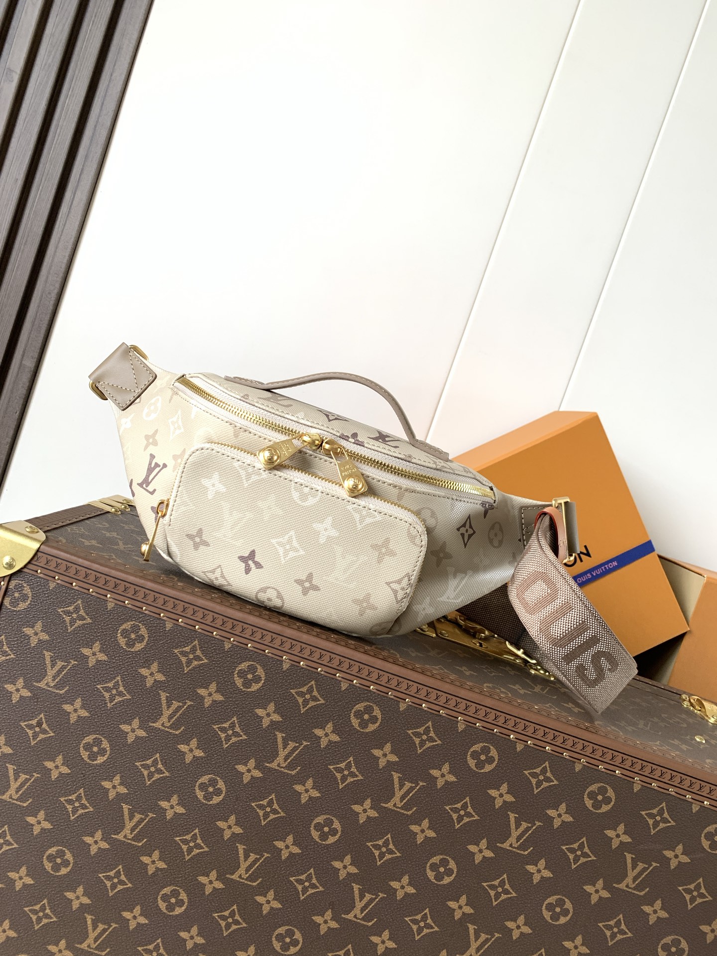 LV Louis Vuitton M29274 Rush Bumbag