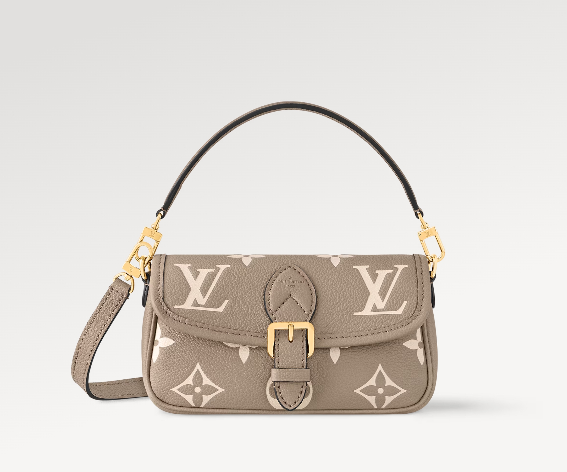 LOUIS VUITTON LV NANO DIANE