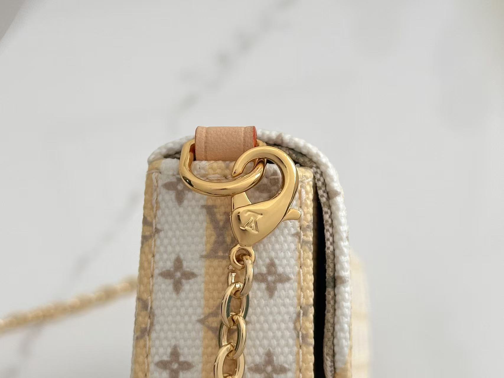 Louis Vuitton LV Felicie Pochette WOC Chain bag