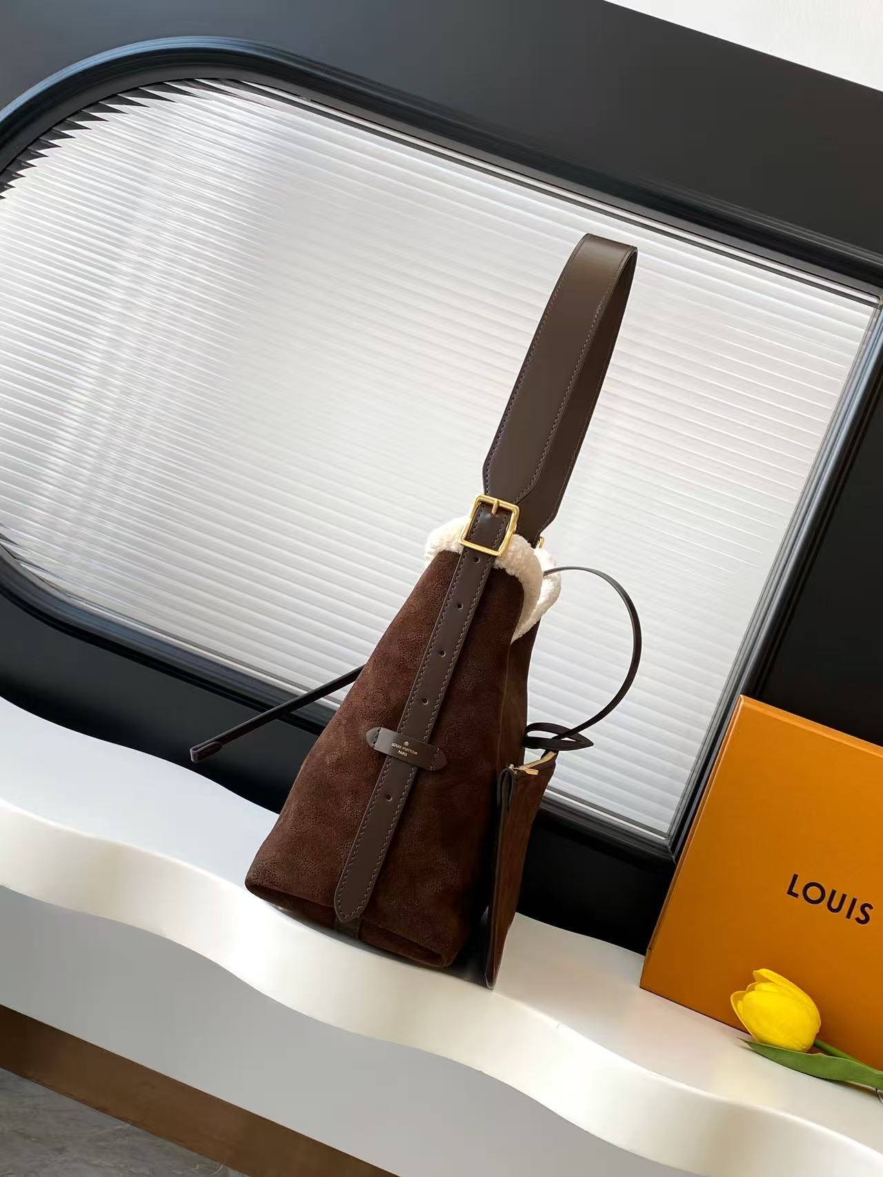 Louis Vuitton Ski Carry All Small Handbag