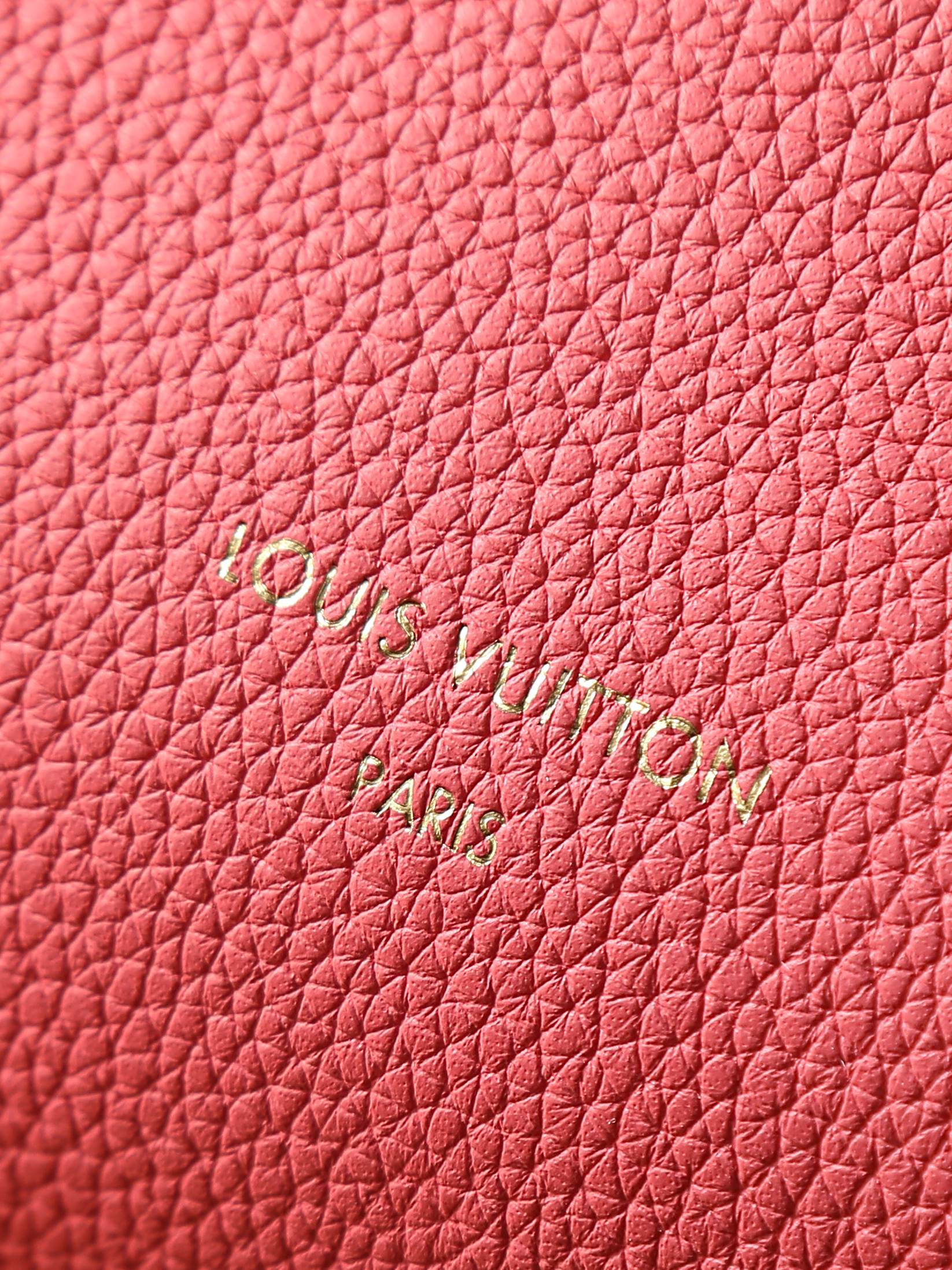 Louis Vuitton Express Small Handbag