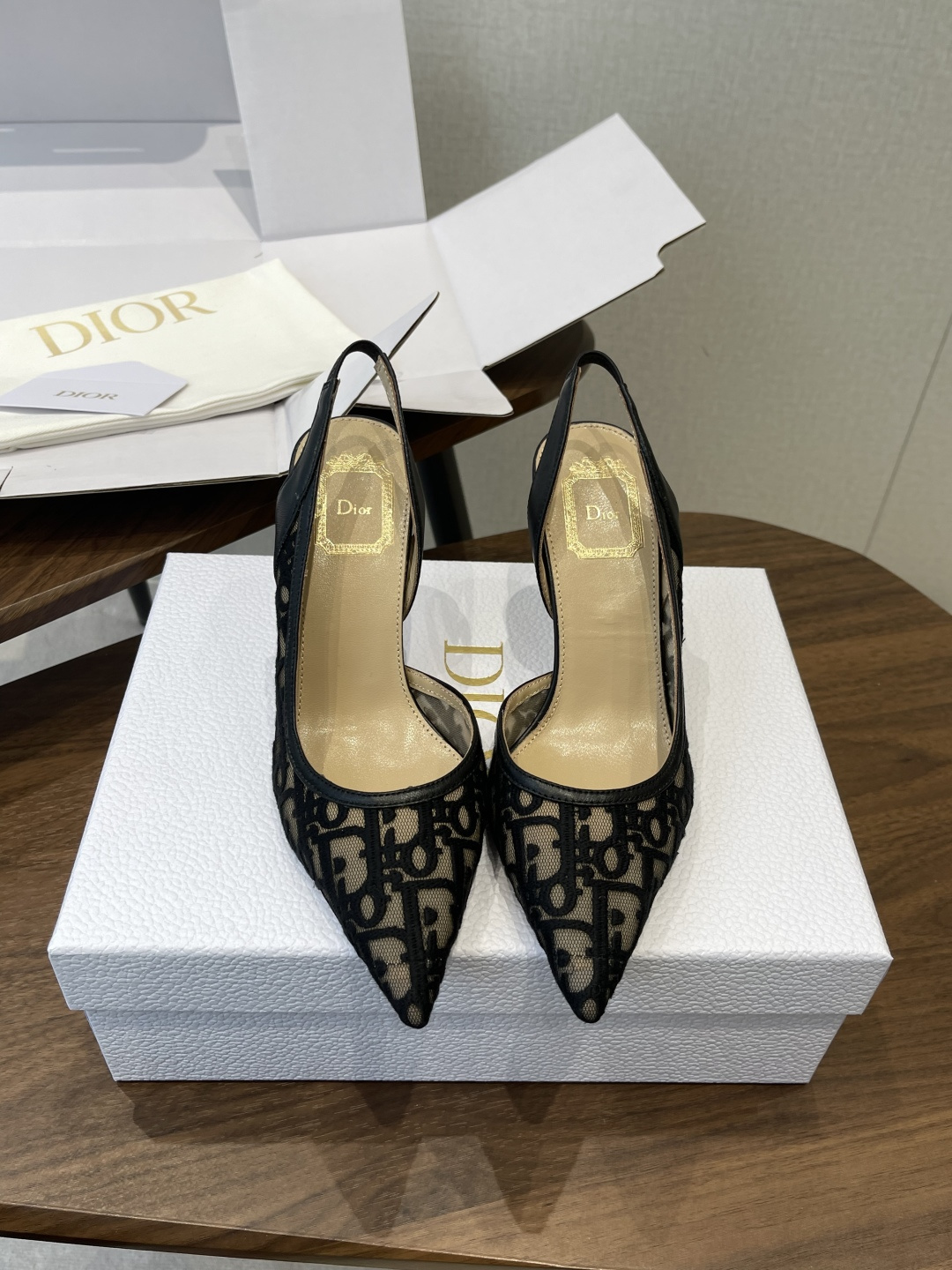 Dior 2026 New Slingback Pump