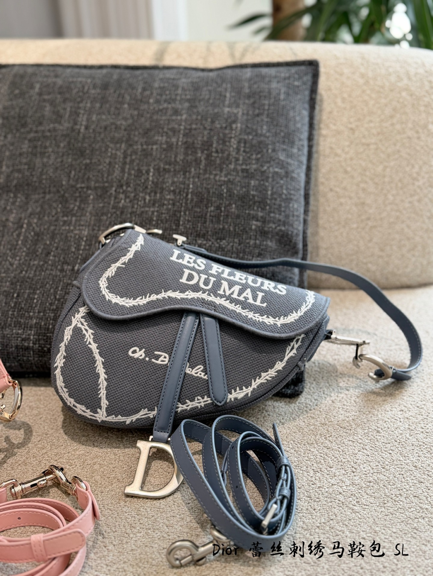 Dior Pink & Grey Canvas 