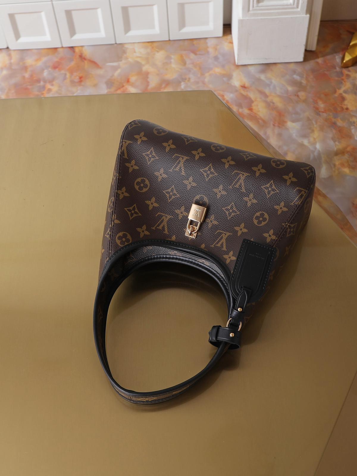 Louis Vuitton LV classic printed tote bag