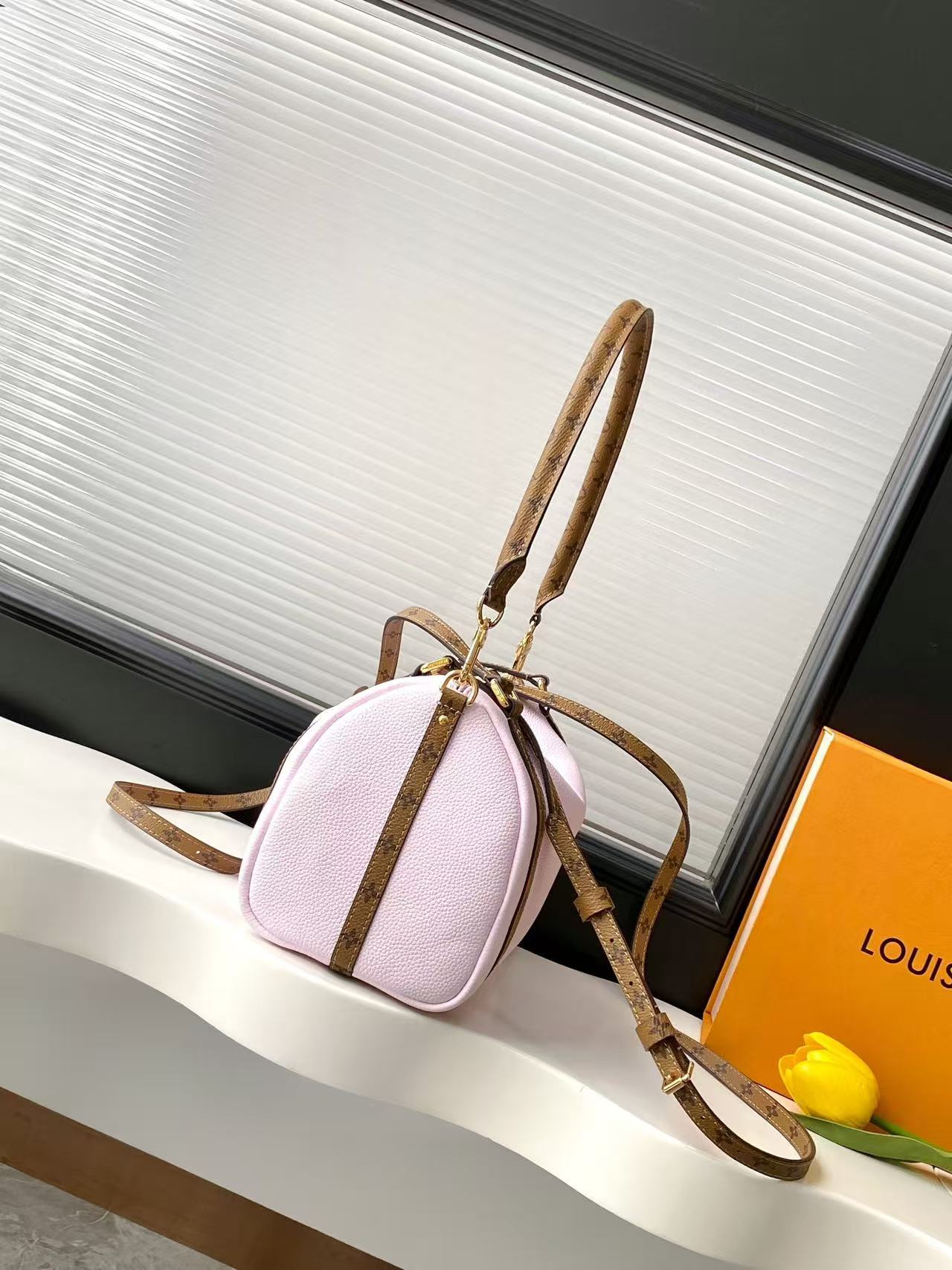 Louis Vuitton LV EXPRESS Bags