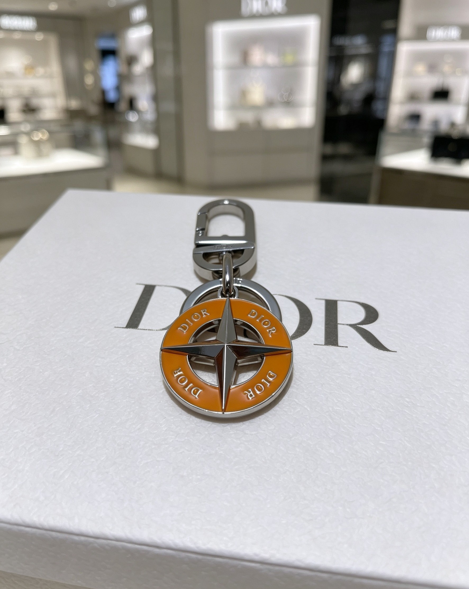 Dior Starburst Compass brown Keychain