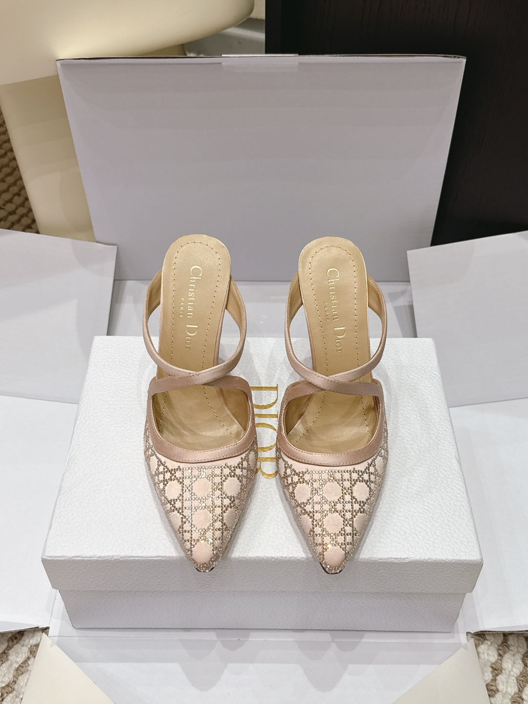 Dior 2026 New Slingback Pump