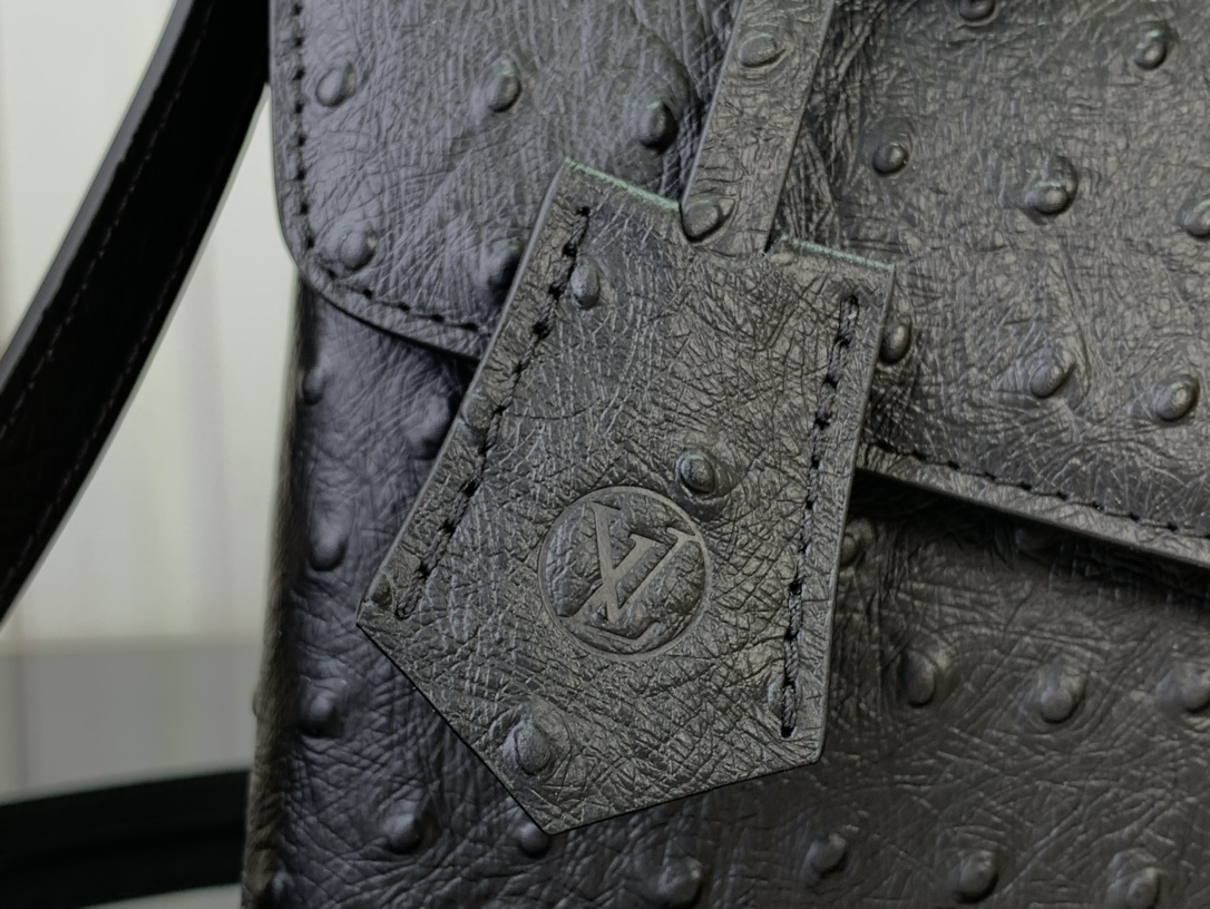 LOUIS VUITTON LV ROSE DES VENTS BAG M87107
