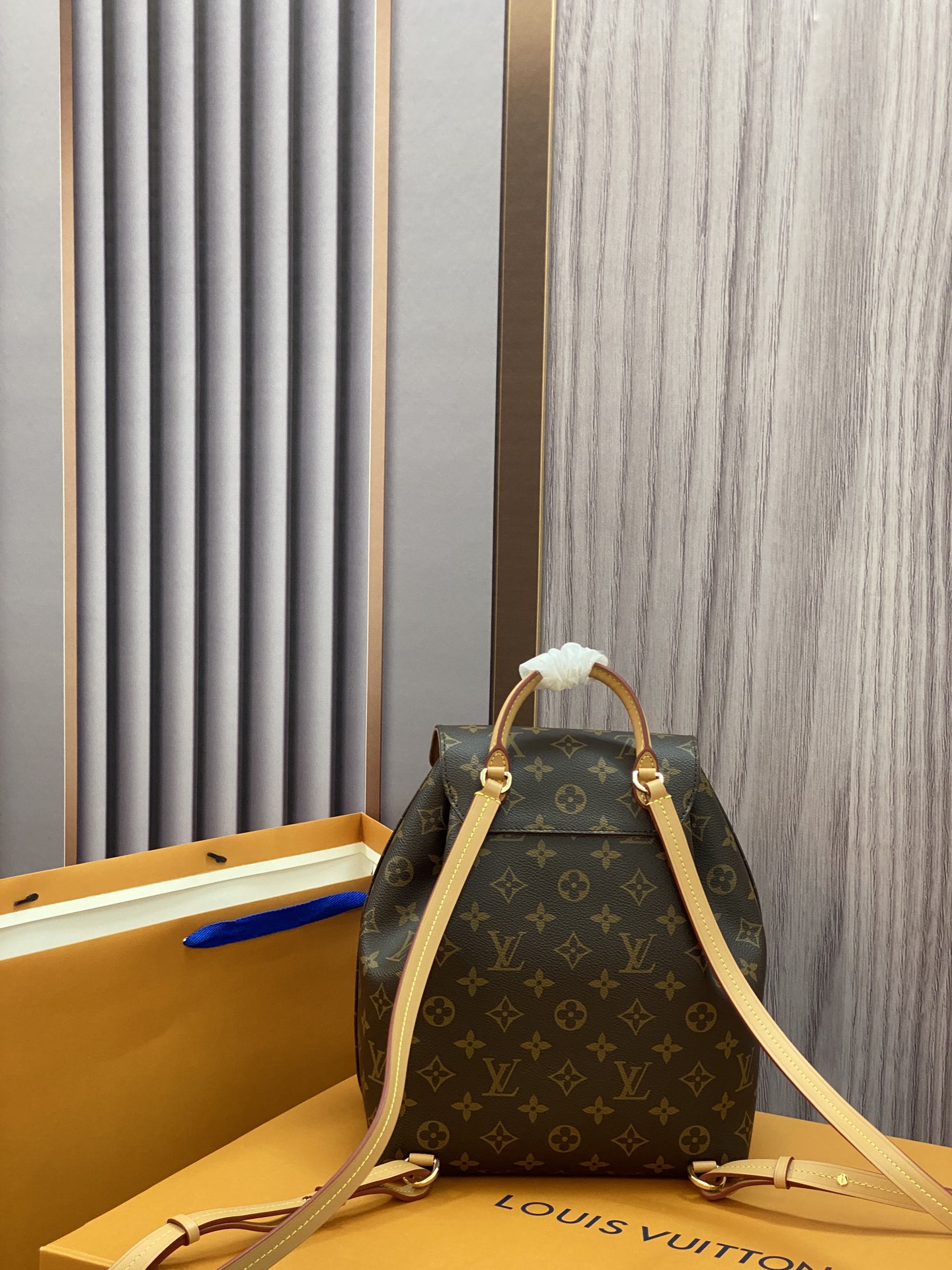 Louis Vuitton LV Montsouris PM M45501