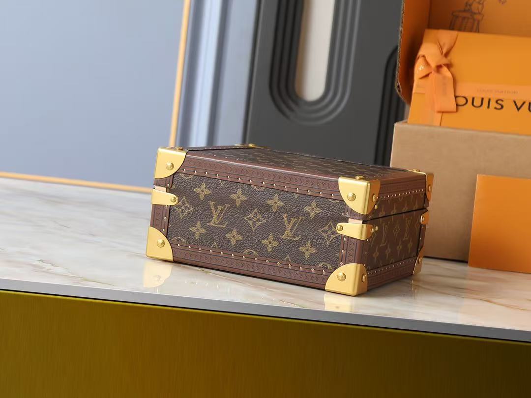 Louis Vuitton LV bags  jewelry trunk
