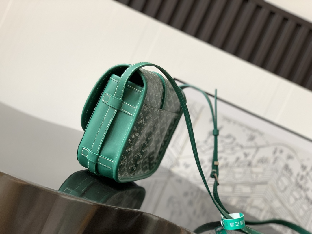 Goyard Belvedere PM Bag in Green