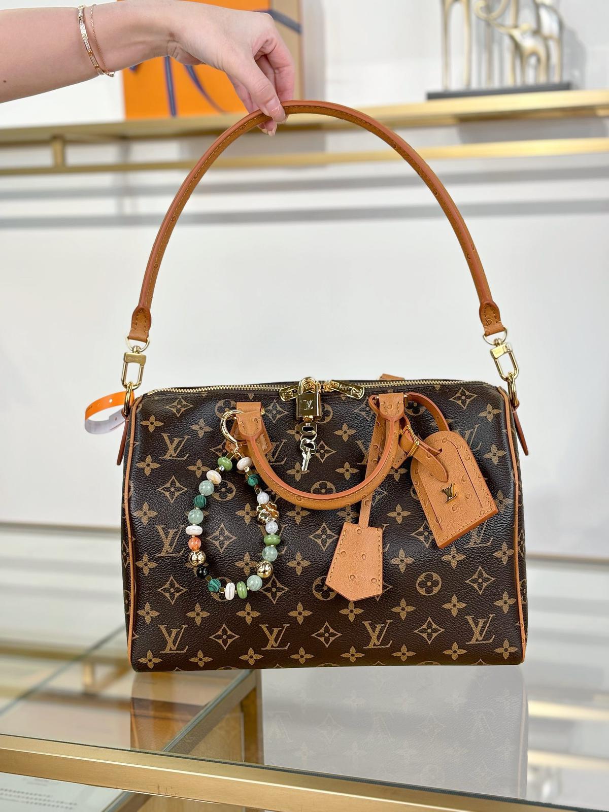 Louis Vuitton Bags SPEEDY SOFT 30 BOHO handbag