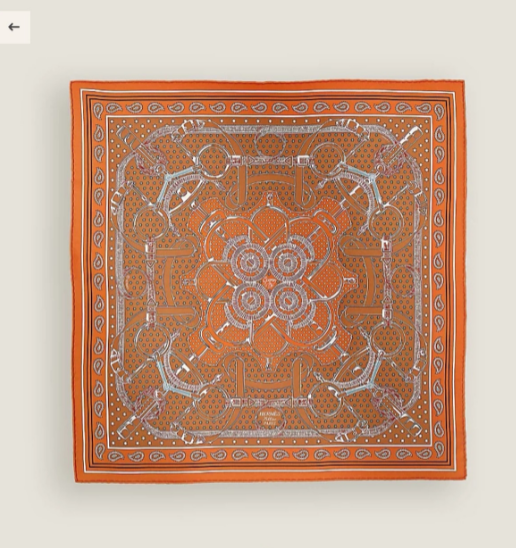 Hermes Silk Square 90cm