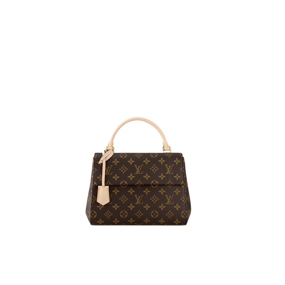 Louis Vuitton LV Cluny Bag