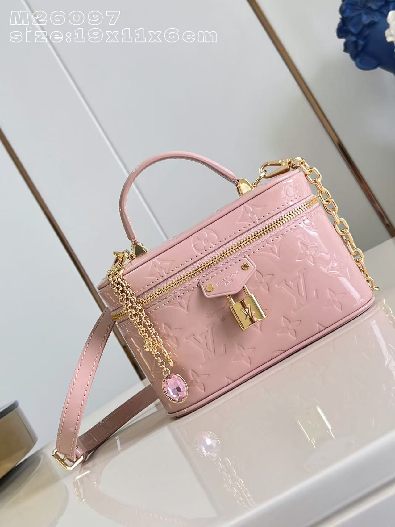 Louis Vuitton LV Vanity Chain Pouch handbag