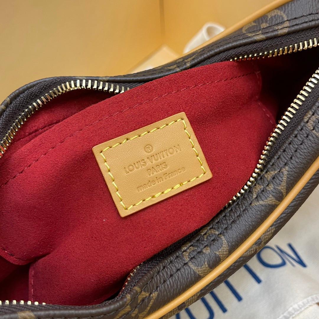 Louis Vuitton LV Classic printed pea bag