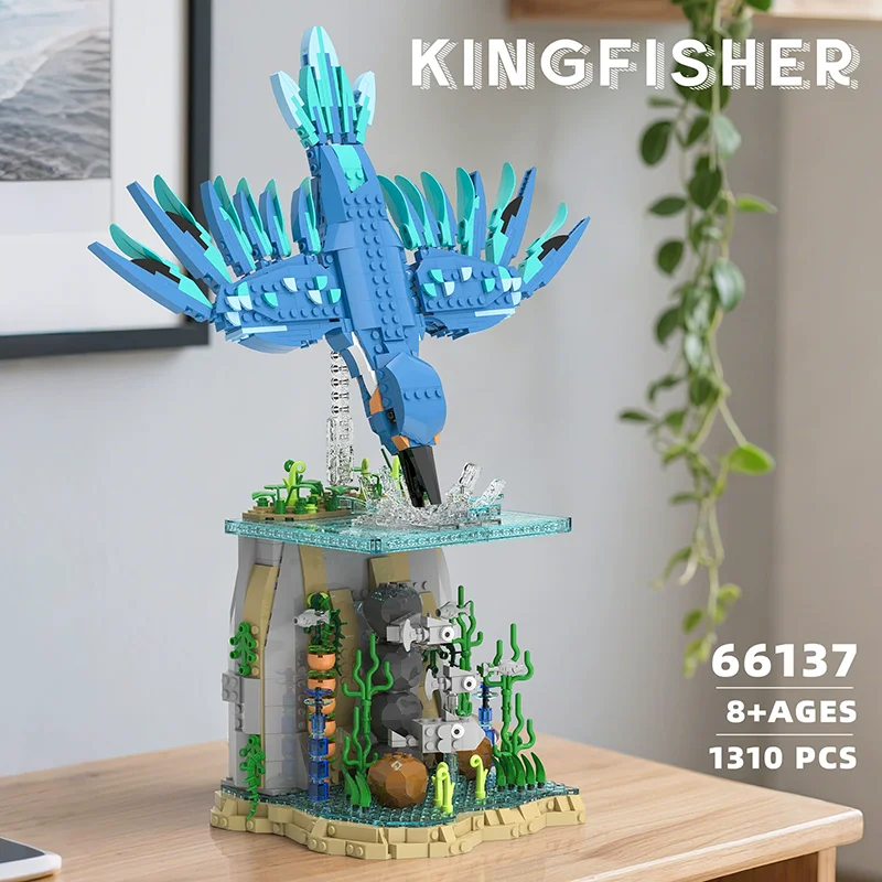 XBert 66137 - kingfisher