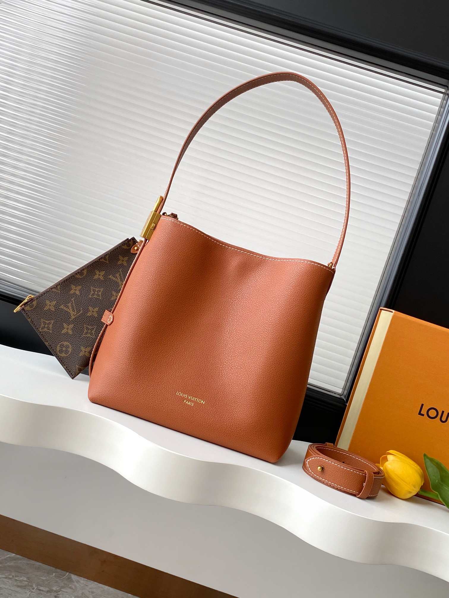 Louis Vuitton LV Low Key Hobo PM Bucket Bag