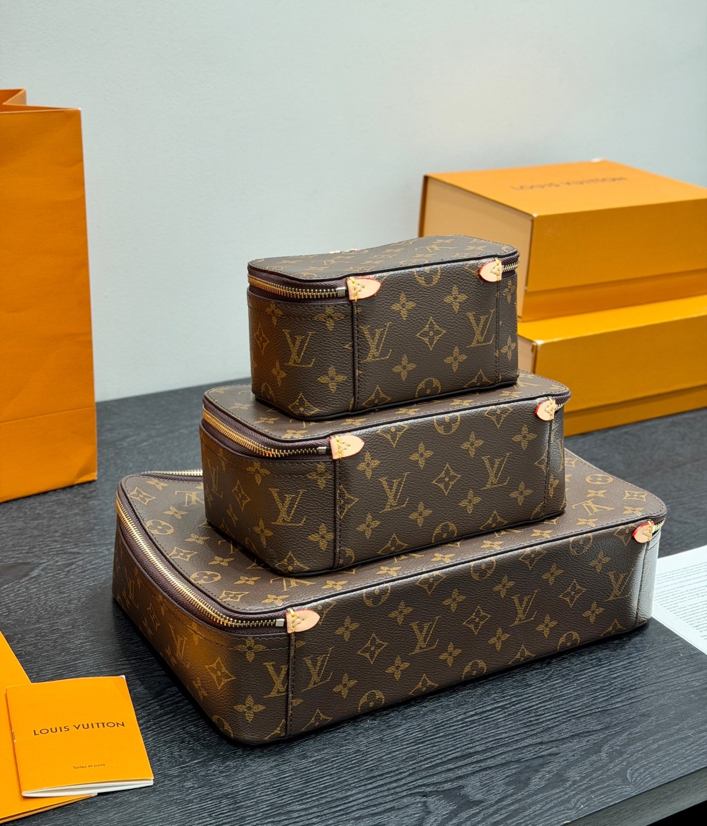Louis Vuitton LV Monogram Brown Canvas Beige Lining Nice Vanity Jewelry Case Travel Top Handle Bag - KAIROO