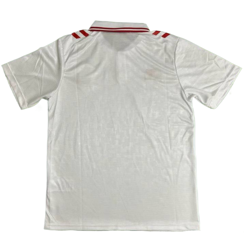 Denmark 2024 Away  S-XXL