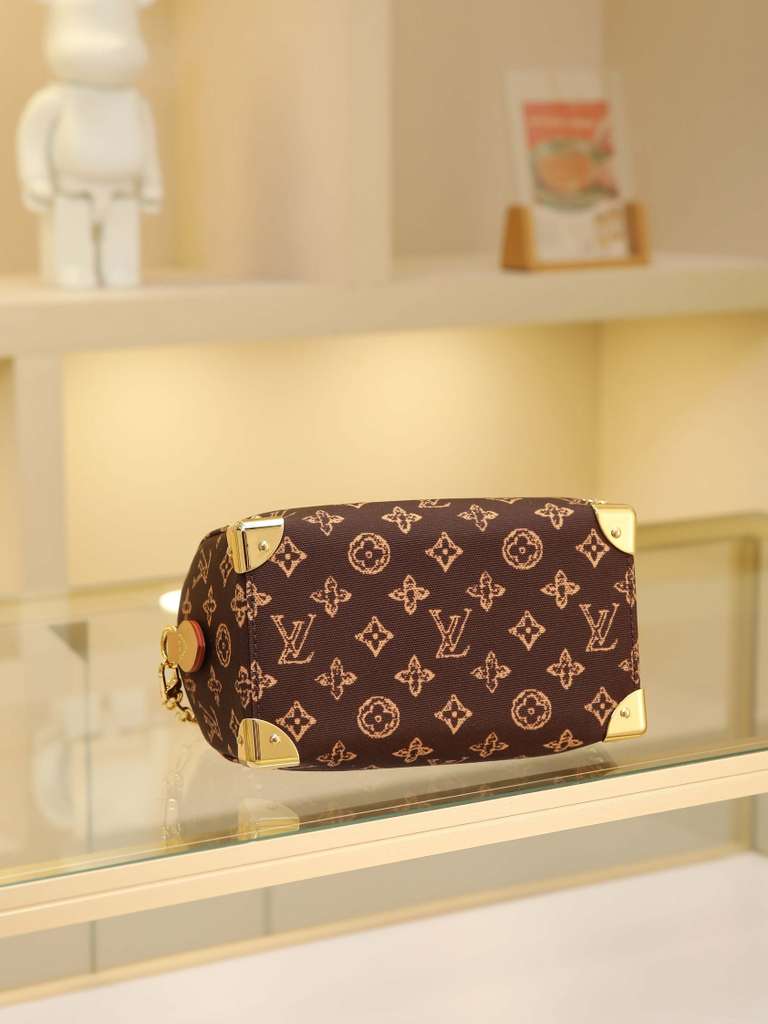 Louis Vuitton LV speedy 20 handbag