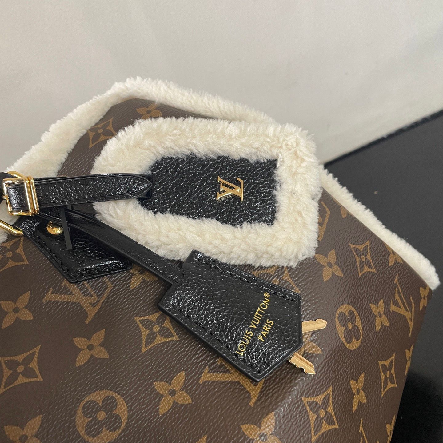 Louis Vuitton LV SPEEDY SOFT 30 TEDDY Handbag